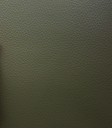 Leather and Fabric Samples | S10Home